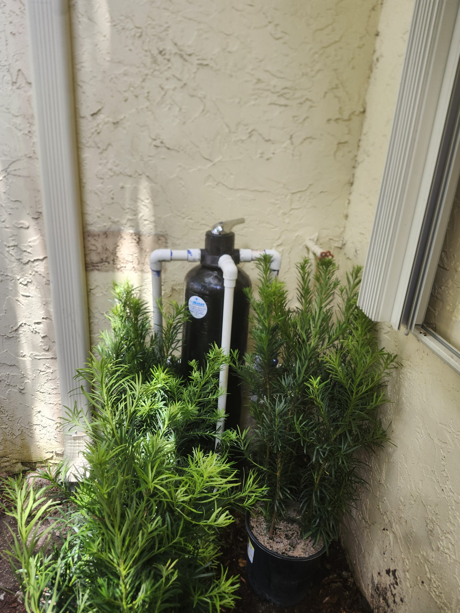 Salt-Free Whole House Filter - Image 3